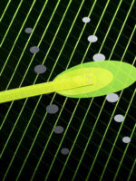 Ezzy Legacy Windsurfing Sails