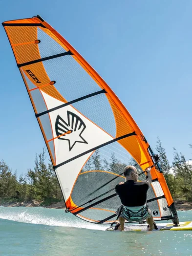 Ezzy Lion Windsuring Sail in Orange